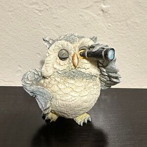 Charming Owl Figurine with Binoculars